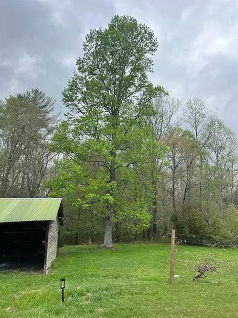 A home in Blue Ridge