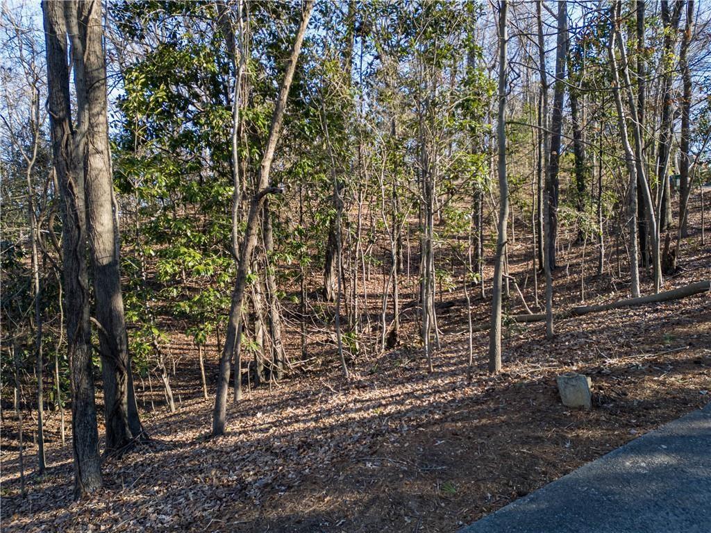 18 W Wesley Ridge