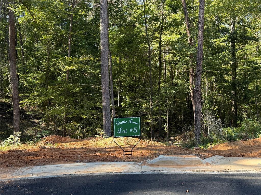 005 Dottie Lane, Talking Rock, Georgia image 4