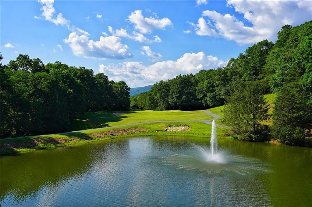 63 Shadowick Mountain Road, Jasper, Georgia image 39