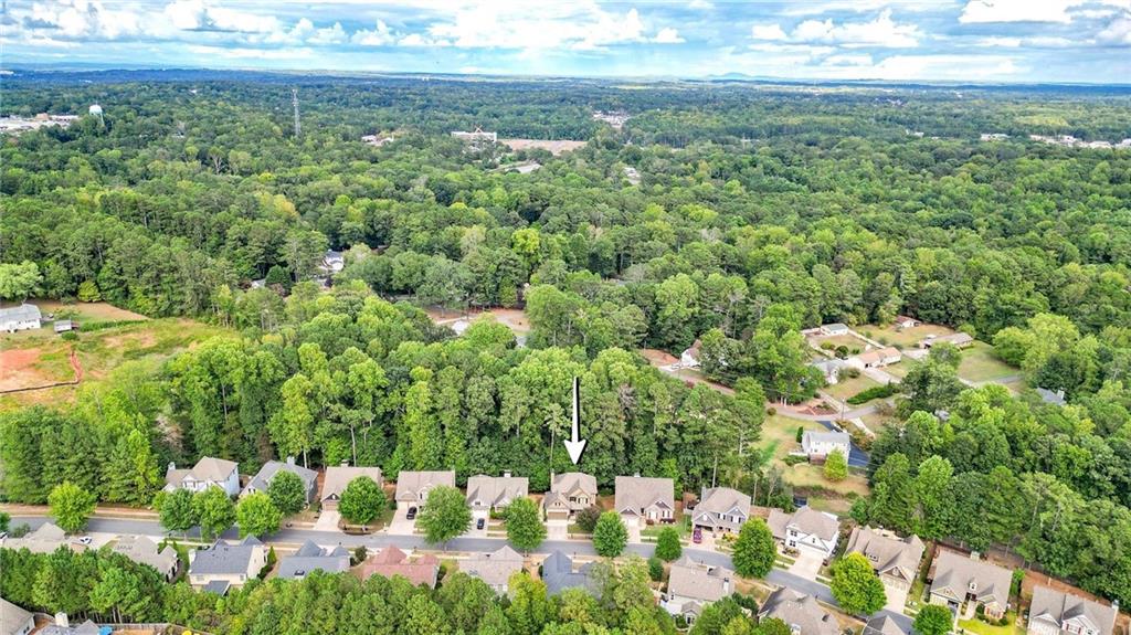 117 Manous Drive, Canton, Georgia image 10