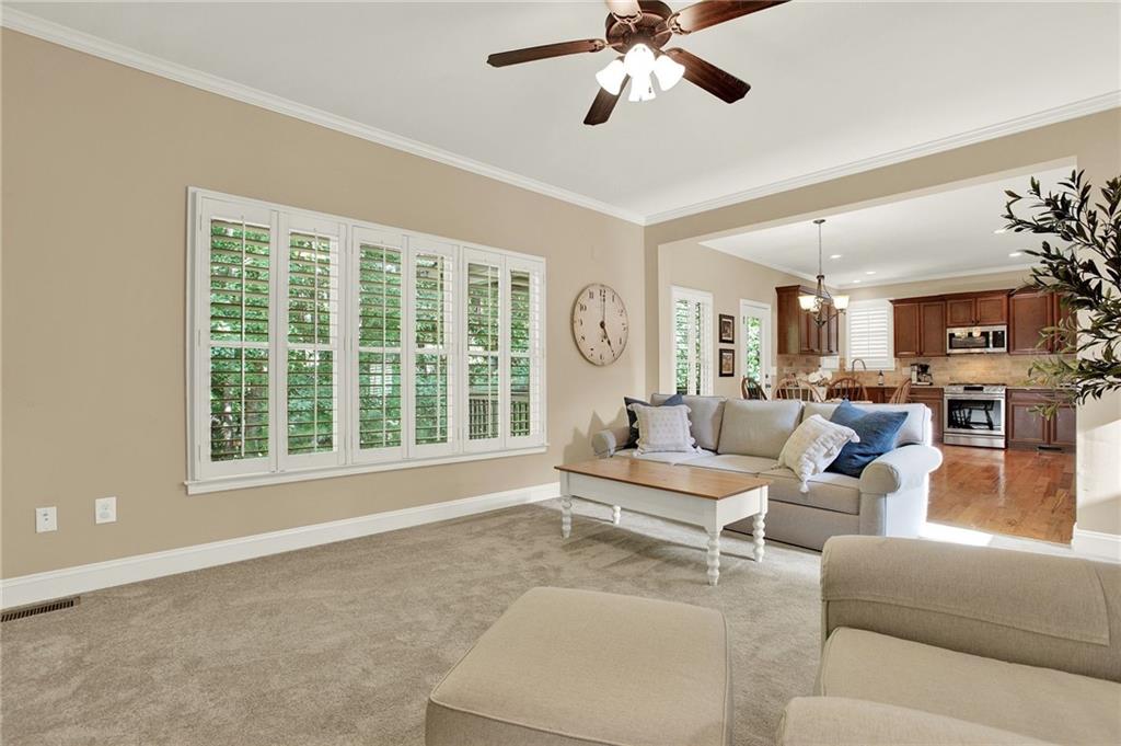 117 Manous Drive, Canton, Georgia image 44