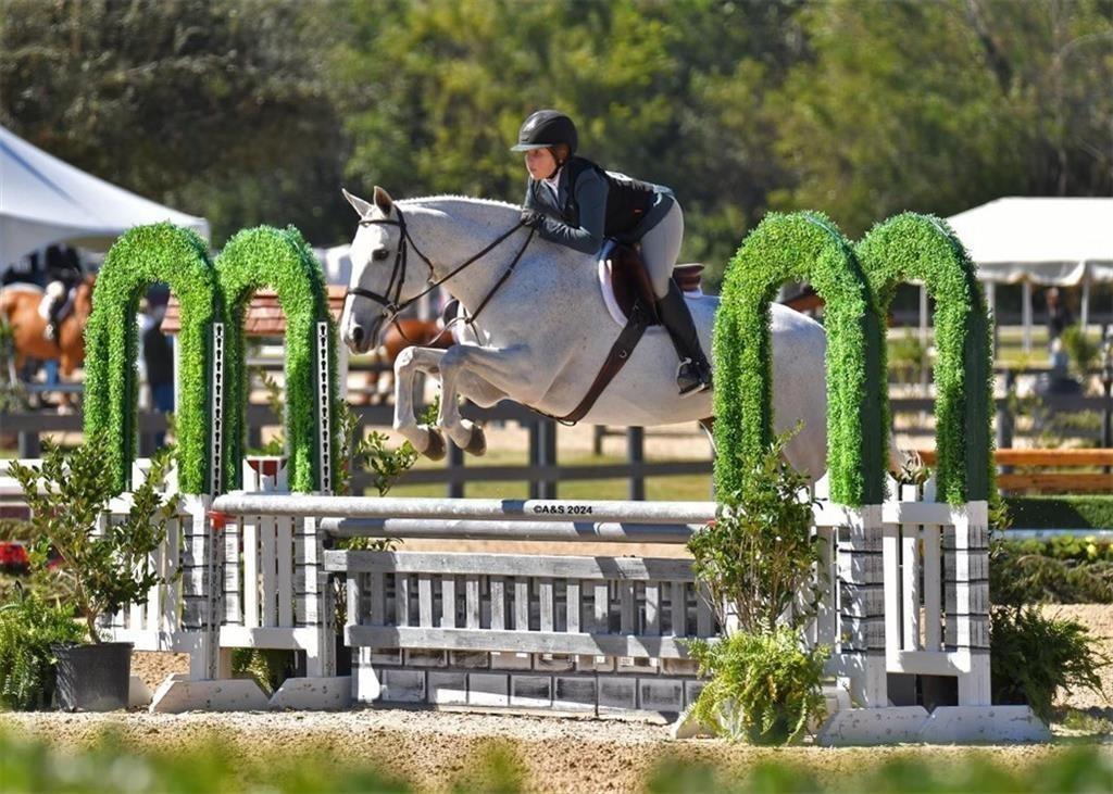 531 S Main Street 410