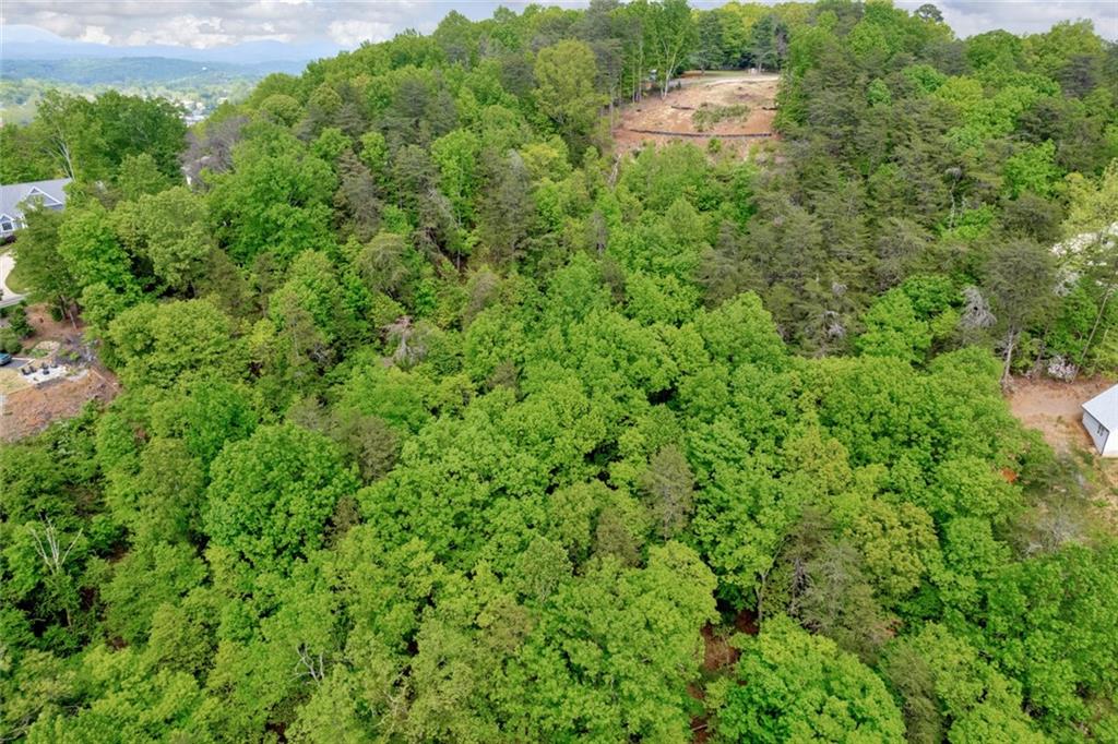 Crown Mountain Drive, Dahlonega, Georgia image 13