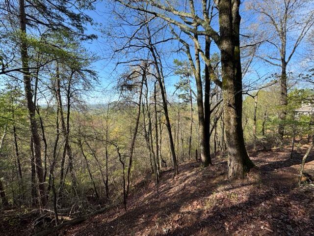 Crown Mountain Drive, Dahlonega, Georgia image 3