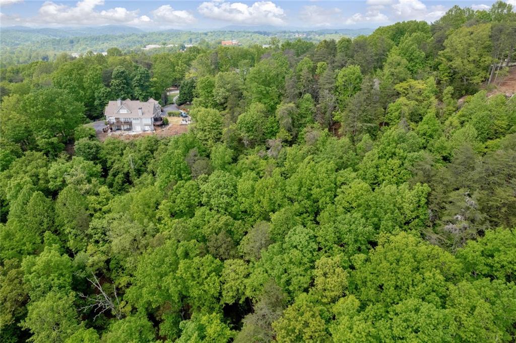 Crown Mountain Drive, Dahlonega, Georgia image 12
