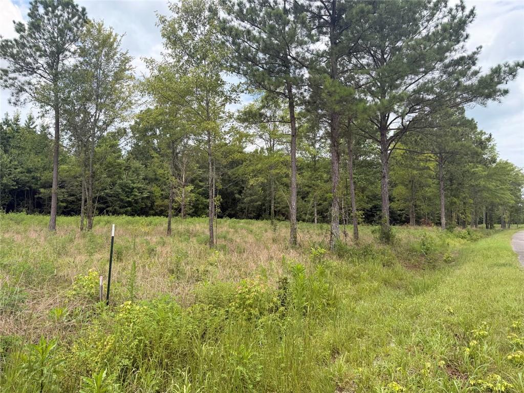 Lot 59 County Road 32