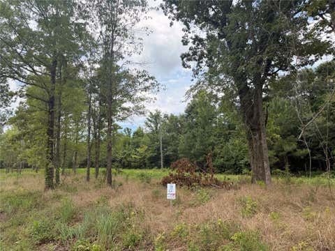 Vacant Land For Sale - LOT 59 County Road 32<br/> Cherokee County, Piedmont, AL 36272