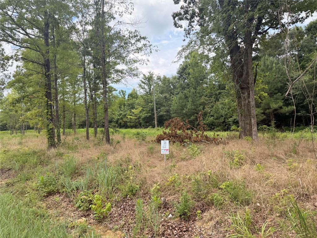 Lot 59 County Road 32