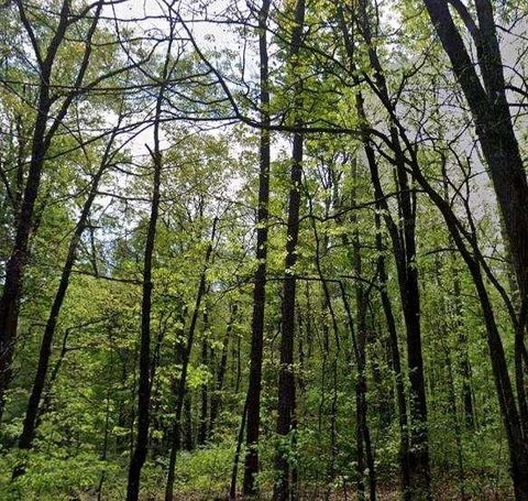 Vacant Land For Sale - Carson Wages Road<br/> Barrow County, Winder, GA 30680