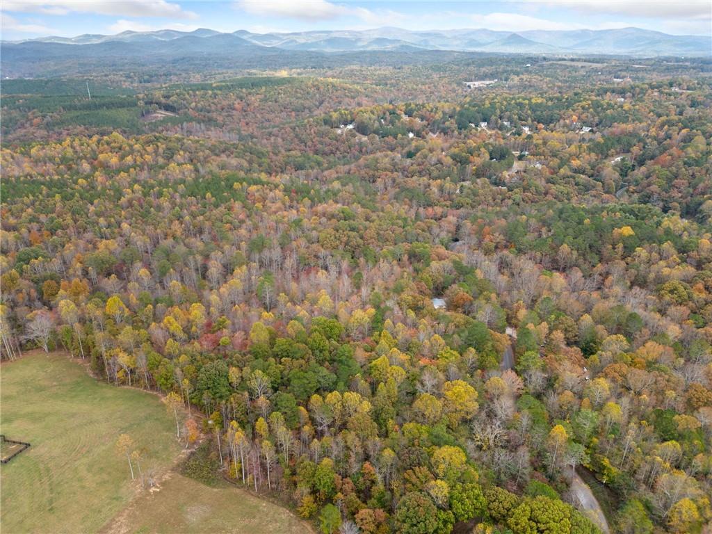 14 Acres Hobson Road, Jasper, Georgia image 20