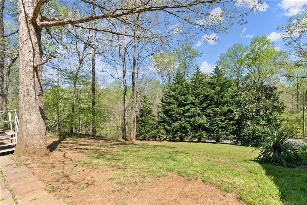 4902 J M Turk Road, Flowery Branch, Georgia image 33
