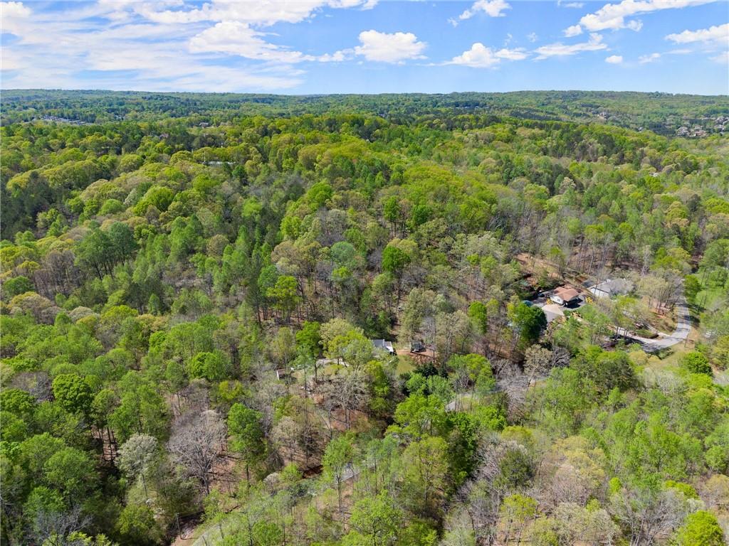 4902 J M Turk Road, Flowery Branch, Georgia image 44