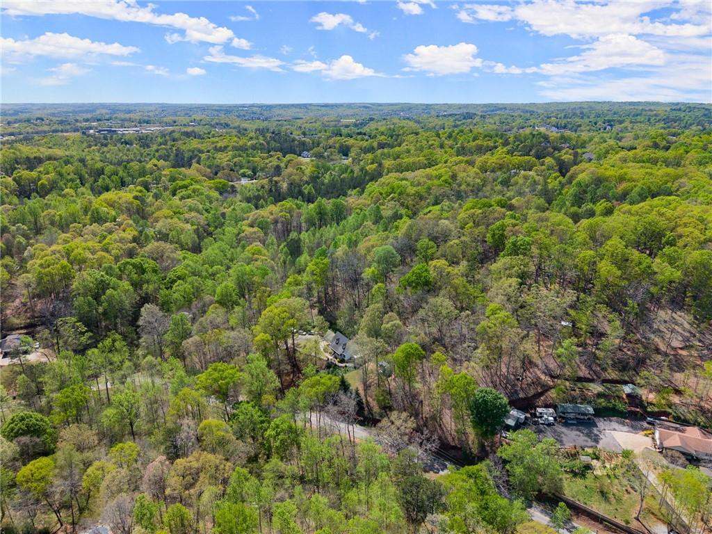 4902 J M Turk Road, Flowery Branch, Georgia image 46