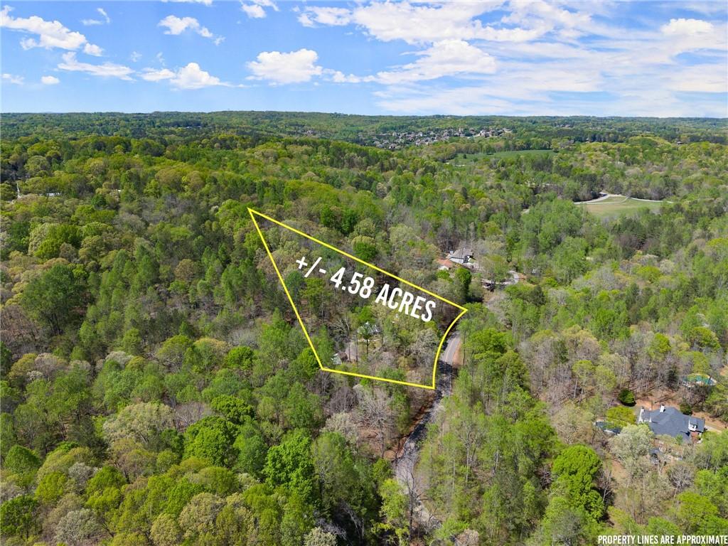 4902 J M Turk Road, Flowery Branch, Georgia image 3