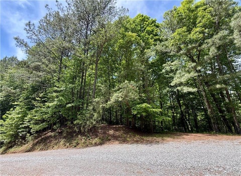 Vacant Land For Sale - Nectar Lane<br/> Ellijay, GA 30540