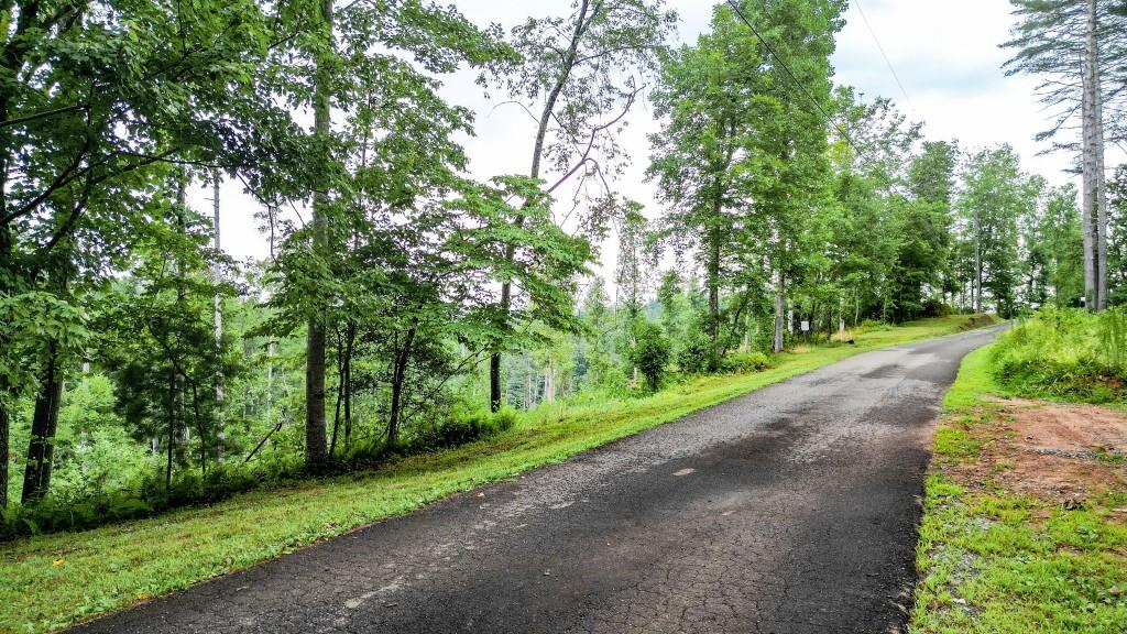 1267 Hicks Ford Road, Ellijay, Georgia image 13