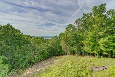 A home in Ellijay