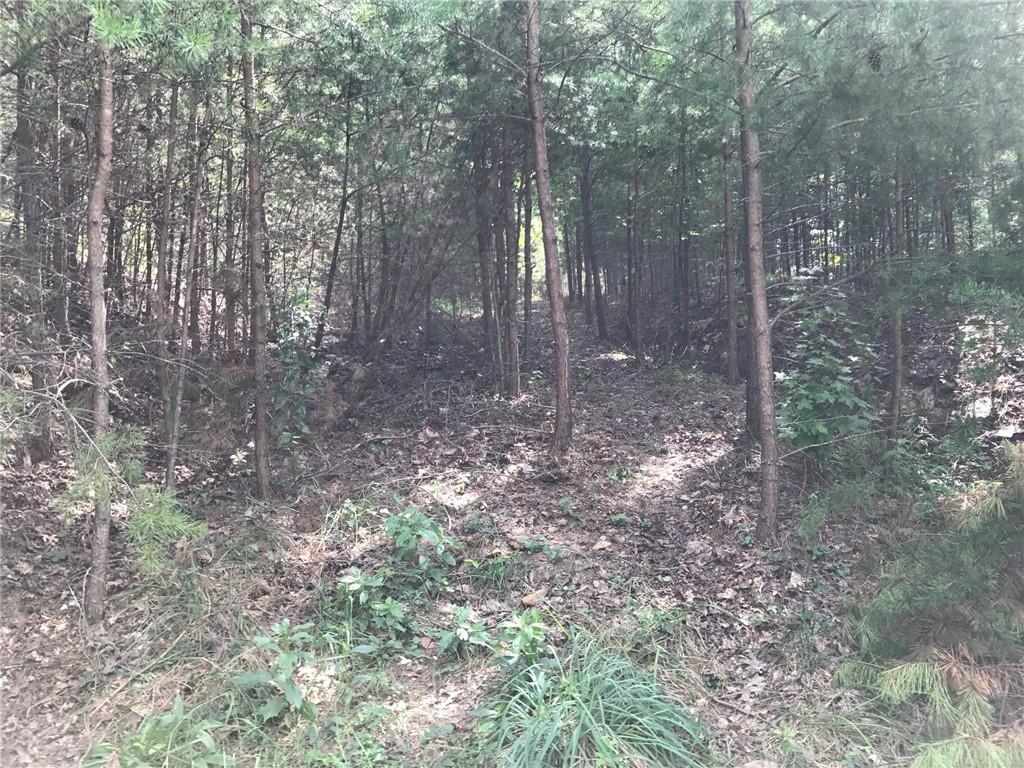 278 Vista View Parkway