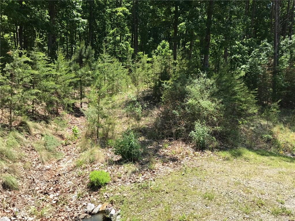 278 Vista View Parkway