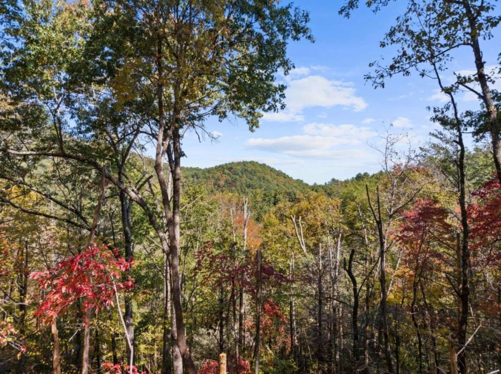LOT 8 Butler Creek Road