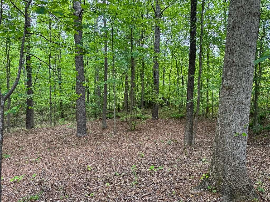 712 Honeysuckle Lane, Temple, Georgia image 50