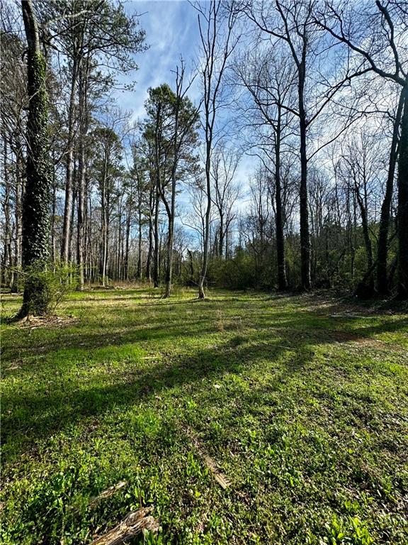 155 Hughes Dairy Road, Lindale, Georgia image 8
