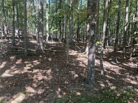 Vacant Land For Sale - LT1352 Willow Terrace<br/> Jasper, GA 30143