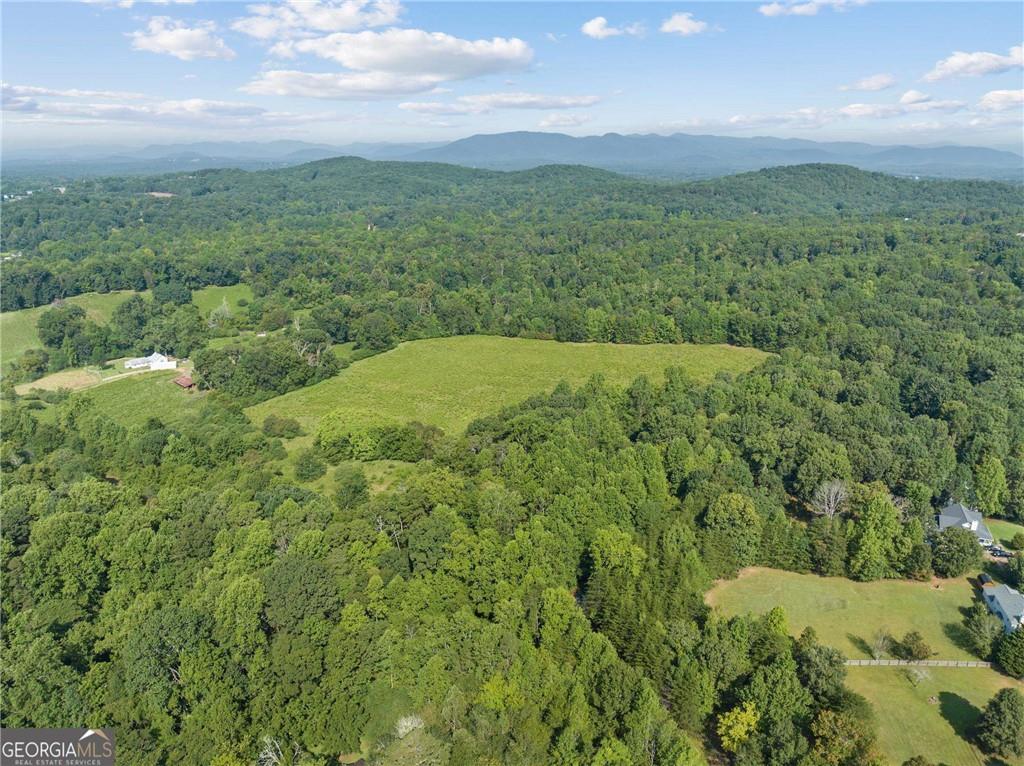 A Highland Forest Road, Cleveland, Georgia image 2