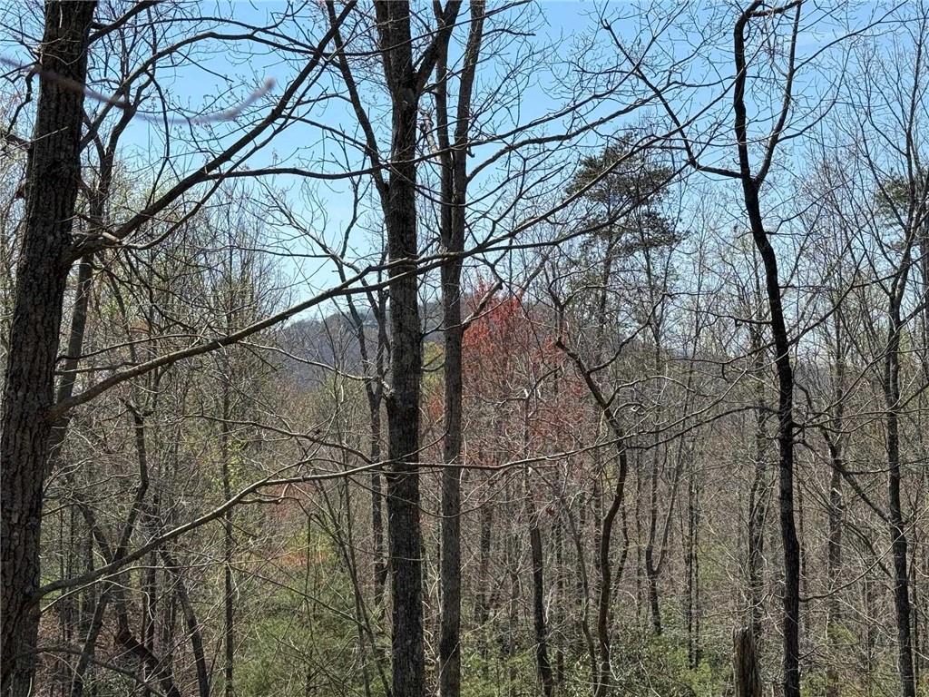 A Highland Forest Road, Cleveland, Georgia image 9