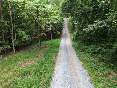 Vacant Land For Sale - S Twin Oaks Drive<br/> Ellijay, GA 30540
