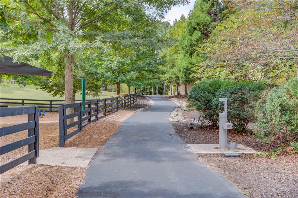 4236 Tacoma Trce Trce, Suwanee, Georgia image 45