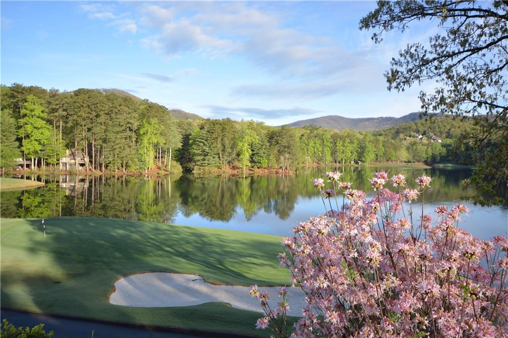 2569 Wilderness Parkway, Jasper, Georgia image 9