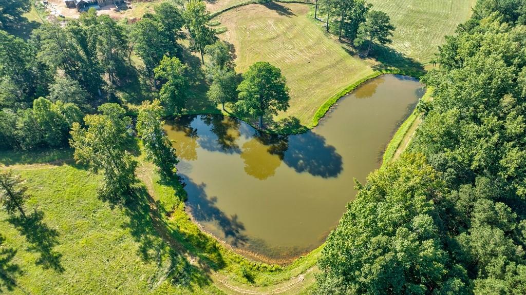 15 Farmstead Lane, Chattahoochee Hills, Georgia image 44