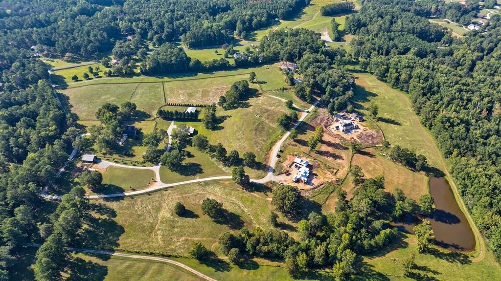 15 Farmstead Lane, Chattahoochee Hills, Georgia image 3