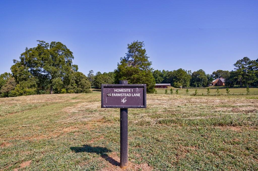 15 Farmstead Lane, Chattahoochee Hills, Georgia image 4