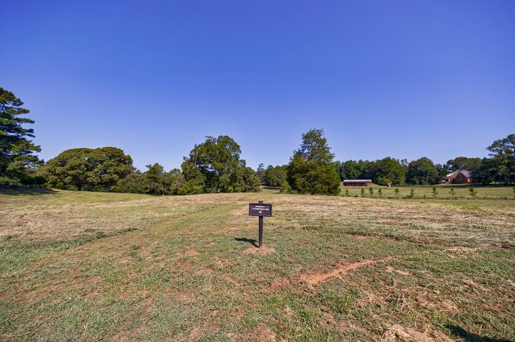 15 Farmstead Lane, Chattahoochee Hills, Georgia image 5