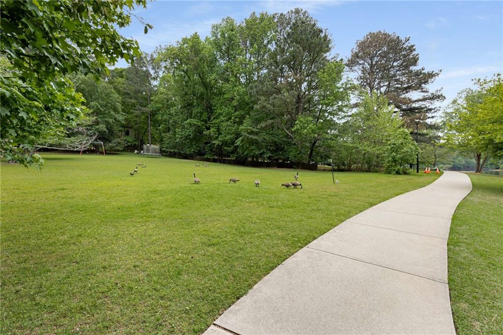 9295 Martin Road, Roswell, Georgia image 45