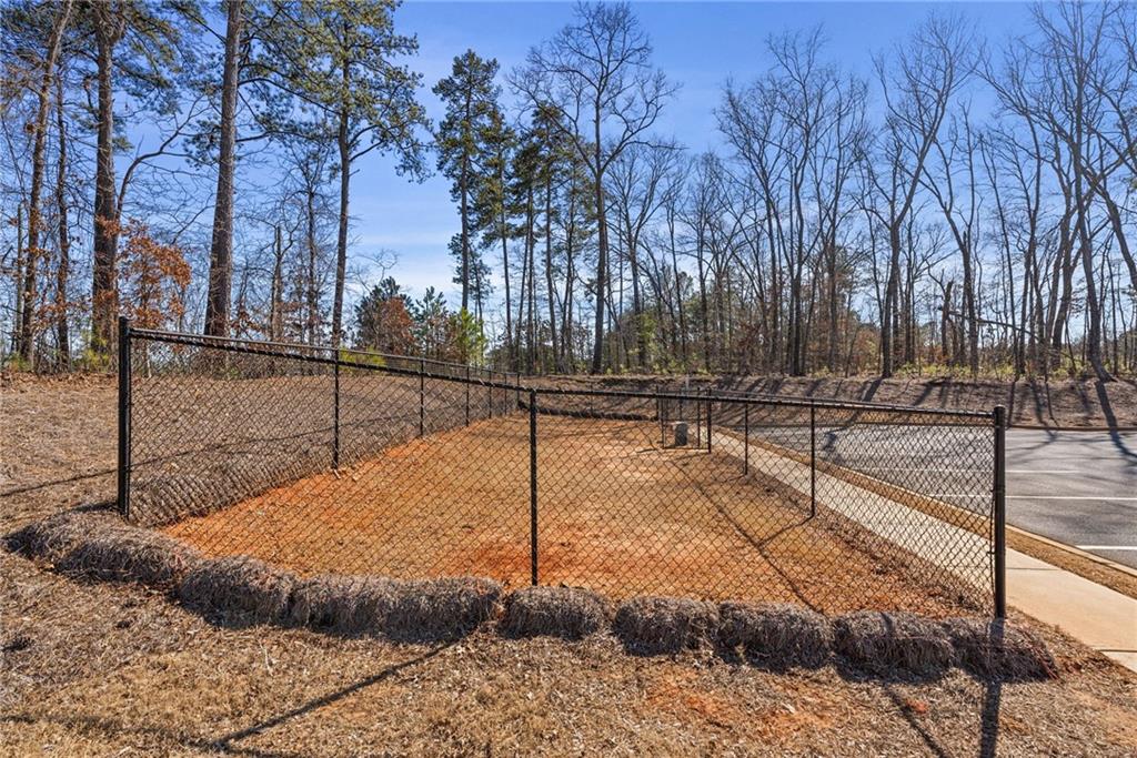 2881 Grandin Way, Marietta, Georgia image 46