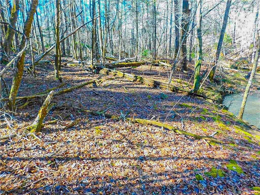 00 Woodland Lane