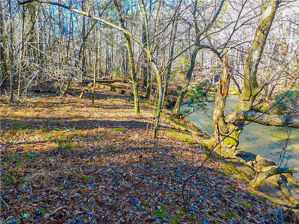 00 Woodland Lane