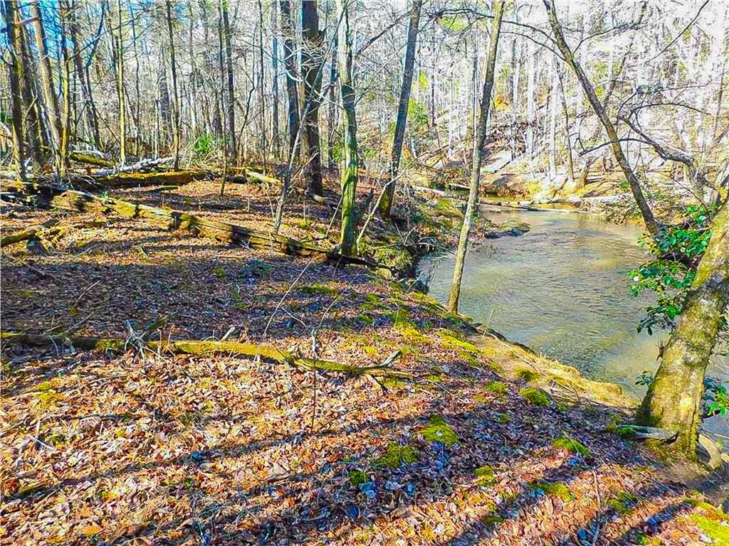 00 Woodland Lane