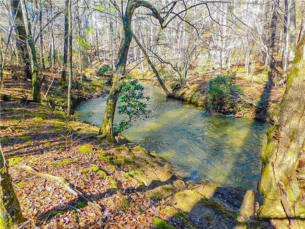 00 Woodland Lane