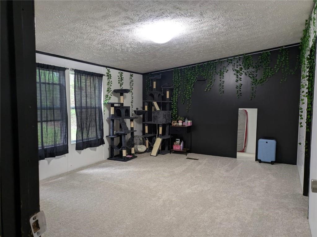 331 Bridle Path Drive, Ball Ground, Georgia image 6