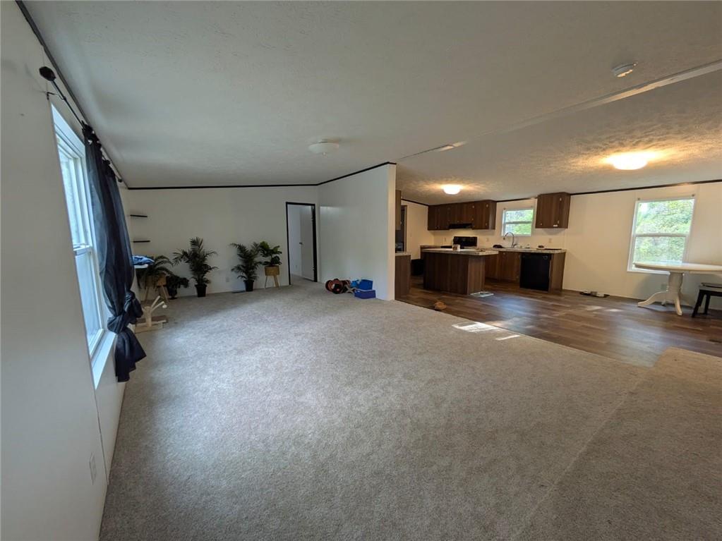 331 Bridle Path Drive, Ball Ground, Georgia image 2