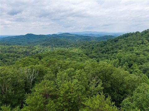 Vacant Land For Sale - 655 Westwind Way<br/> Ranger, GA 30734