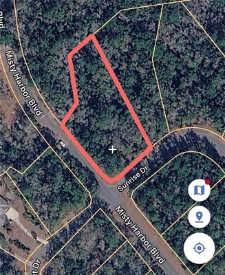 ADDRESS PRIVATE, WOODBINE, GA  - Image 09cef0ca93d89cac37c8ea12d694f6af/410475399