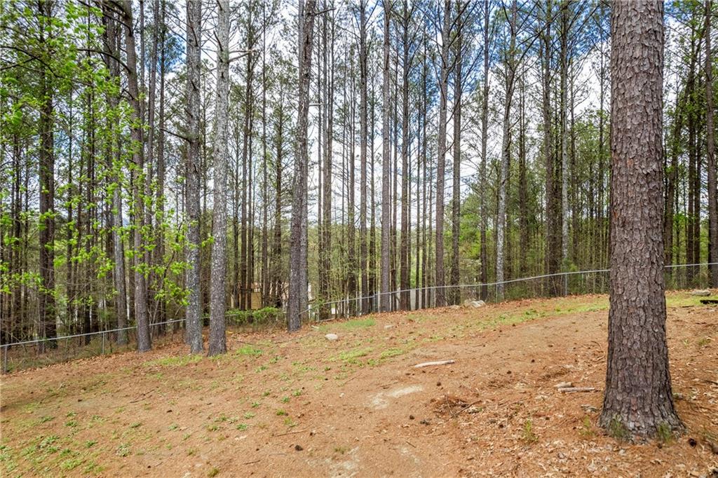 75 Greatwood Drive, White, Georgia image 48