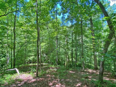 Vacant Land For Sale - Hickory Nut Trail<br/> Lumpkin County, Dahlonega, GA 30533