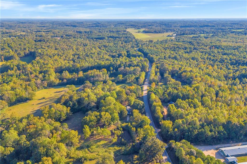 Highway 63, Carnesville, Georgia image 3